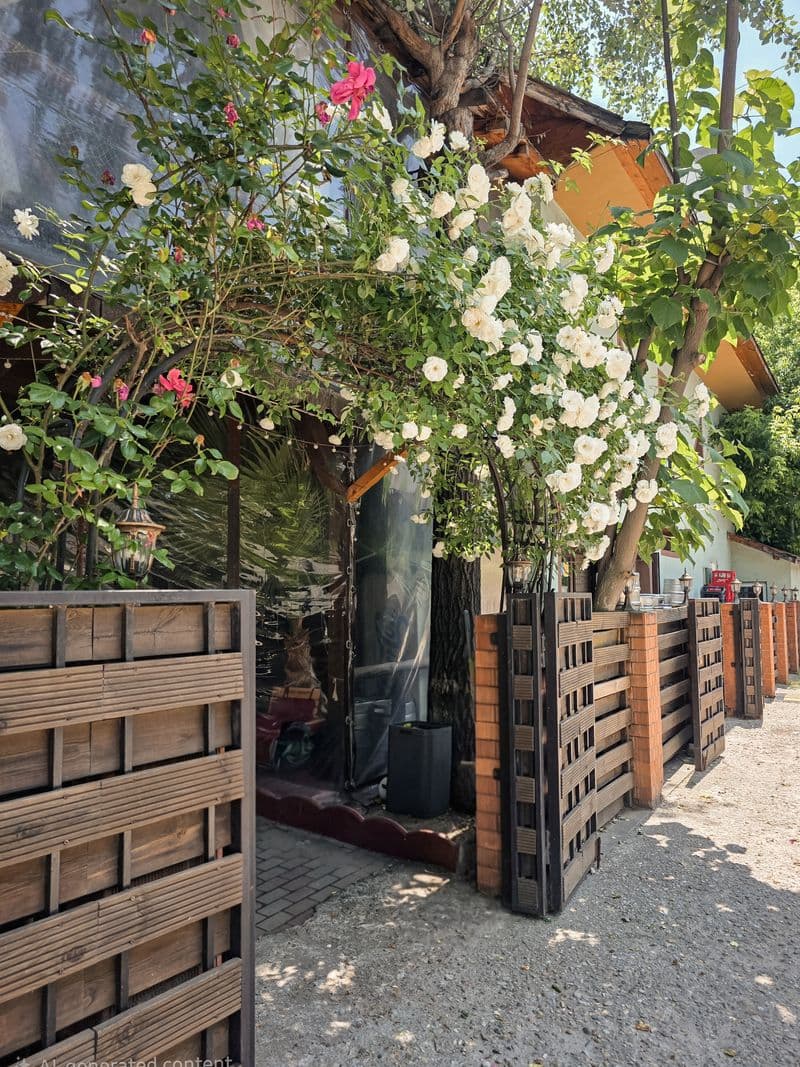 Casa Nasului Intrare