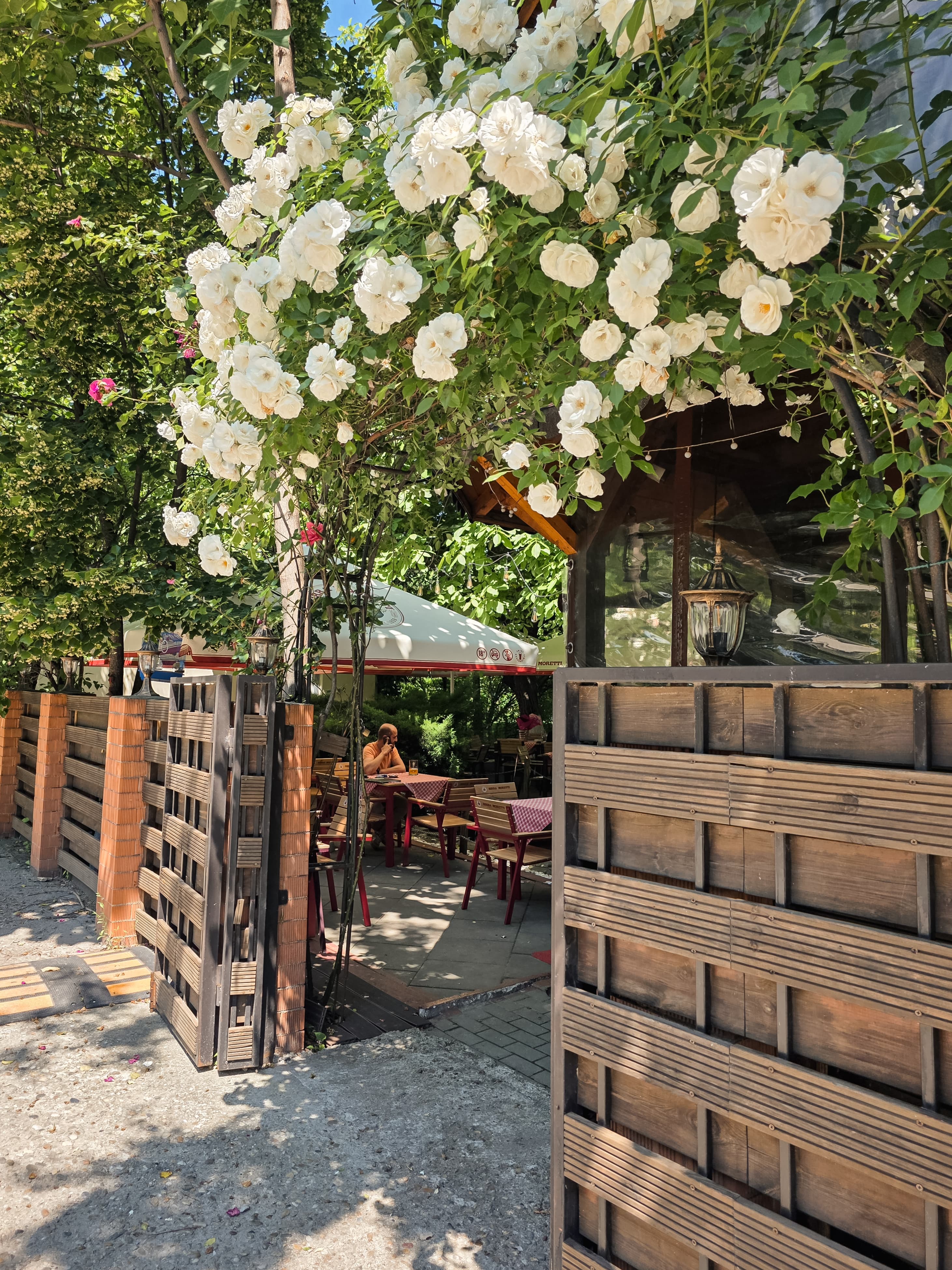 Casa Nasului Intrare Gradina